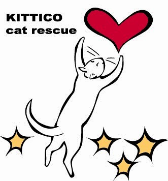 KittiCo Cat Rescue